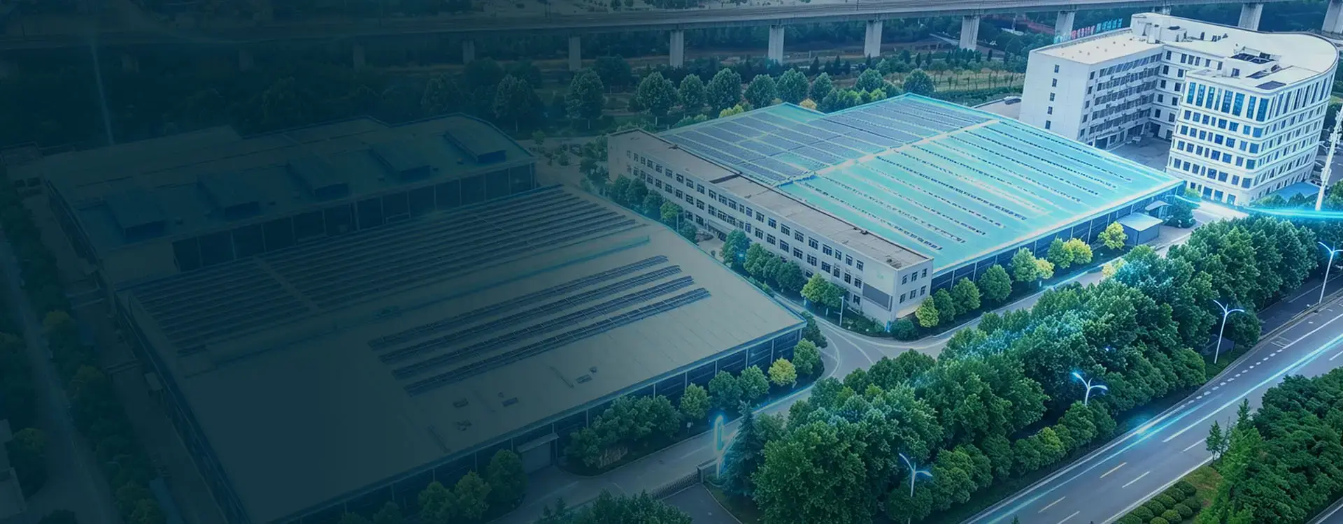Company Profile