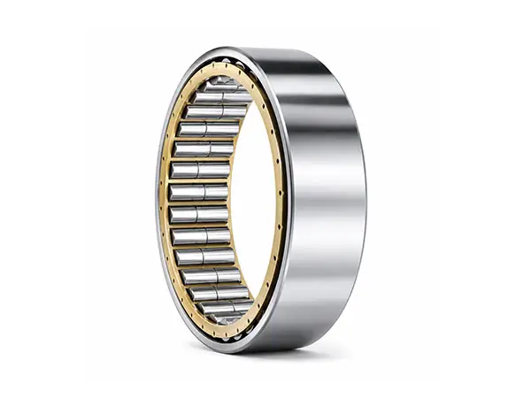 Double Row Cylindrical Roller Bearings